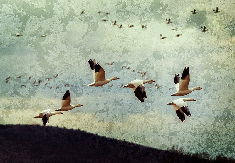 Photographer Beamie Young Finds Beauty in Unexpected Places