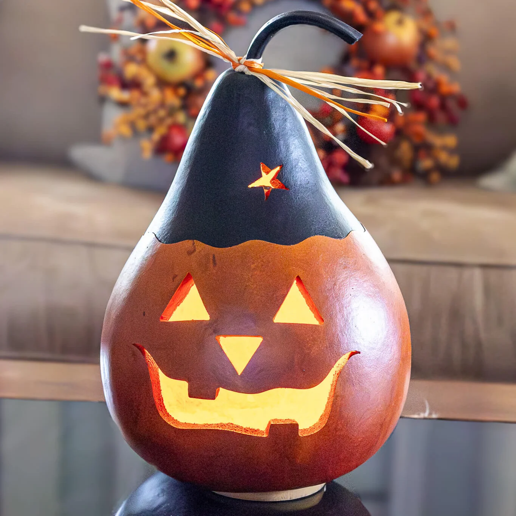 Jasper Jack Lit Gourd