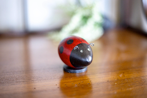 Lucky Bug Gourd