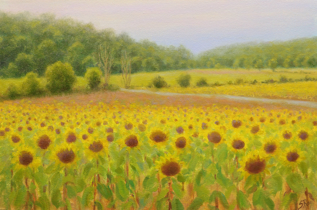 Sunnies by Simonne Roy