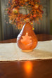 Autumn Gourd Collection