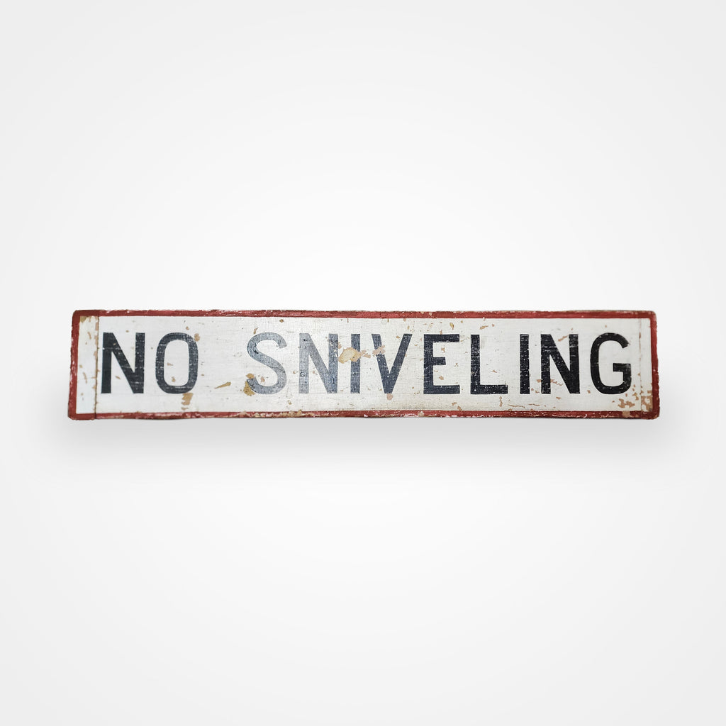 No Sniveling Americana Art