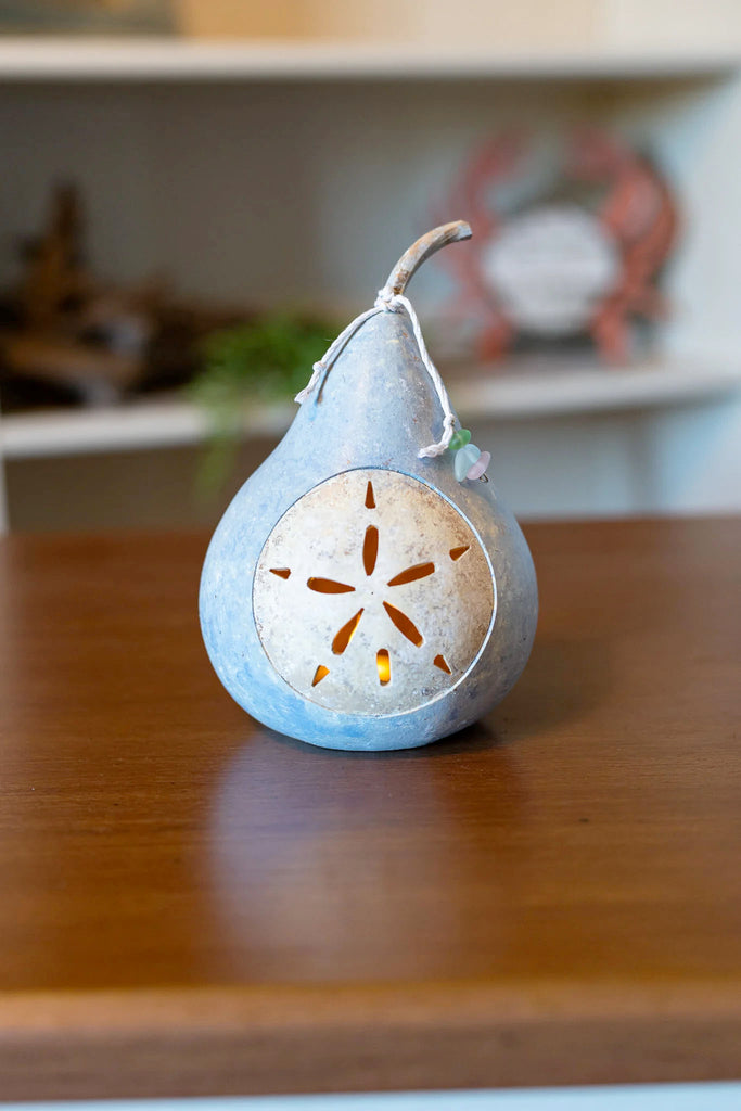 Sand Dollar Gourd Miniature