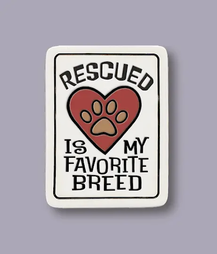 Rescued Magnet Ceramic Magnet