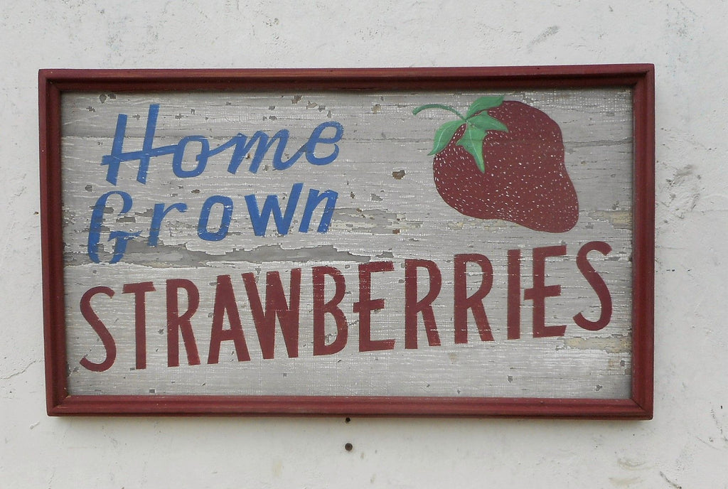 Home Grown Strawberries with Painted Strawberry White with Red Trim Americana Art