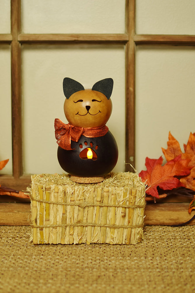 Rocky Cat Gourd - Available in Multiple Sizes