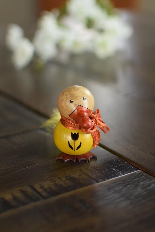 Little Spring Gourds