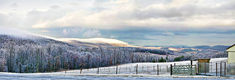 Ice Storm - Epilogue Large Archival Photo on Canvas by Ted Scarpino