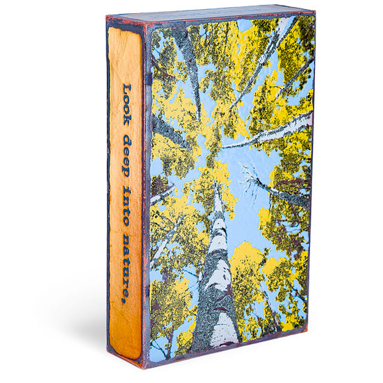 Depth Perception Spiritile