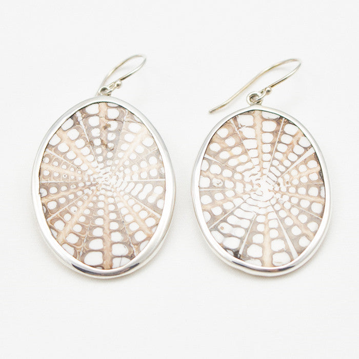 Sterling Silver Wrapped Oval with Shell Earrings