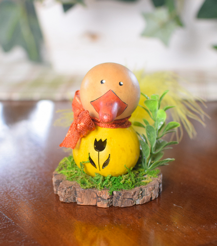 Spring Garden Gourds