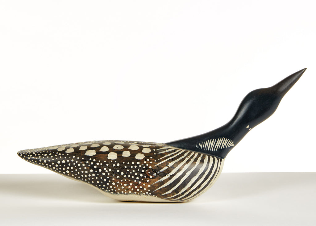 Loon Hissing Pose by Chris Boone