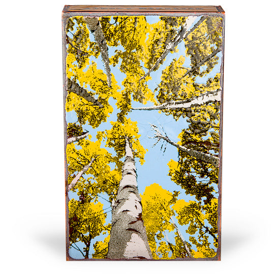 Depth Perception Spiritile