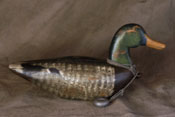 Large Mallard Drake by Chris Boone