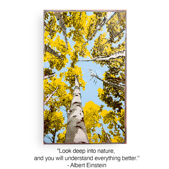 Depth Perception Spiritile