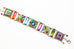 Multi Color Signature Collection Inset Bracelet by Firefly Jewelry