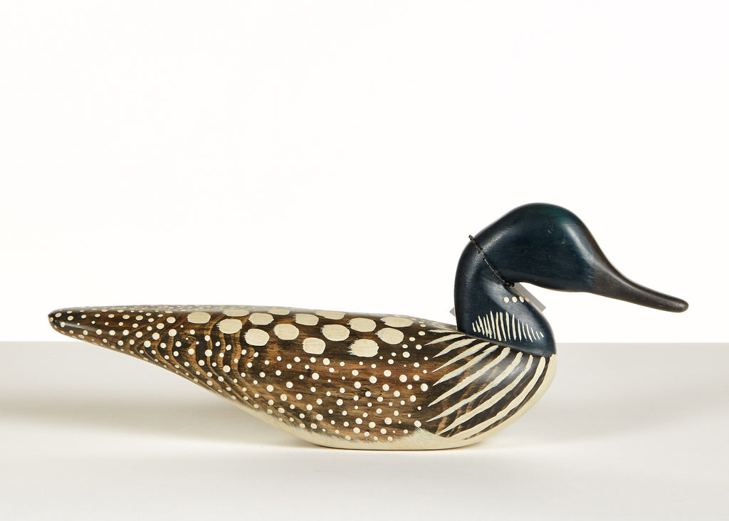 Loon Hissing Pose by Chris Boone