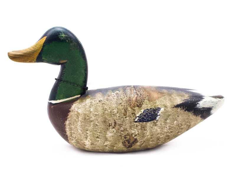 Mallard Drake by Chris Boone