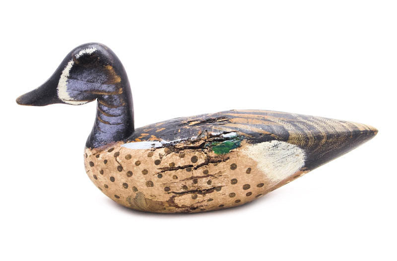 Bluewinged Teal by Chris Boone