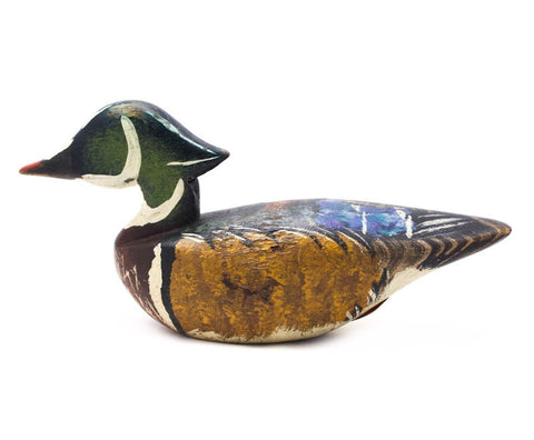 Wood Duck by Chris Boone