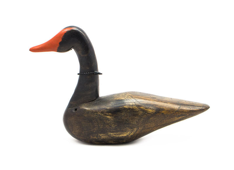 Black Swan by Chris Boone