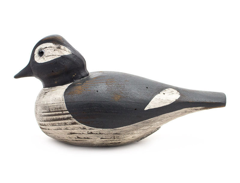 Bufflehead Drake Hen