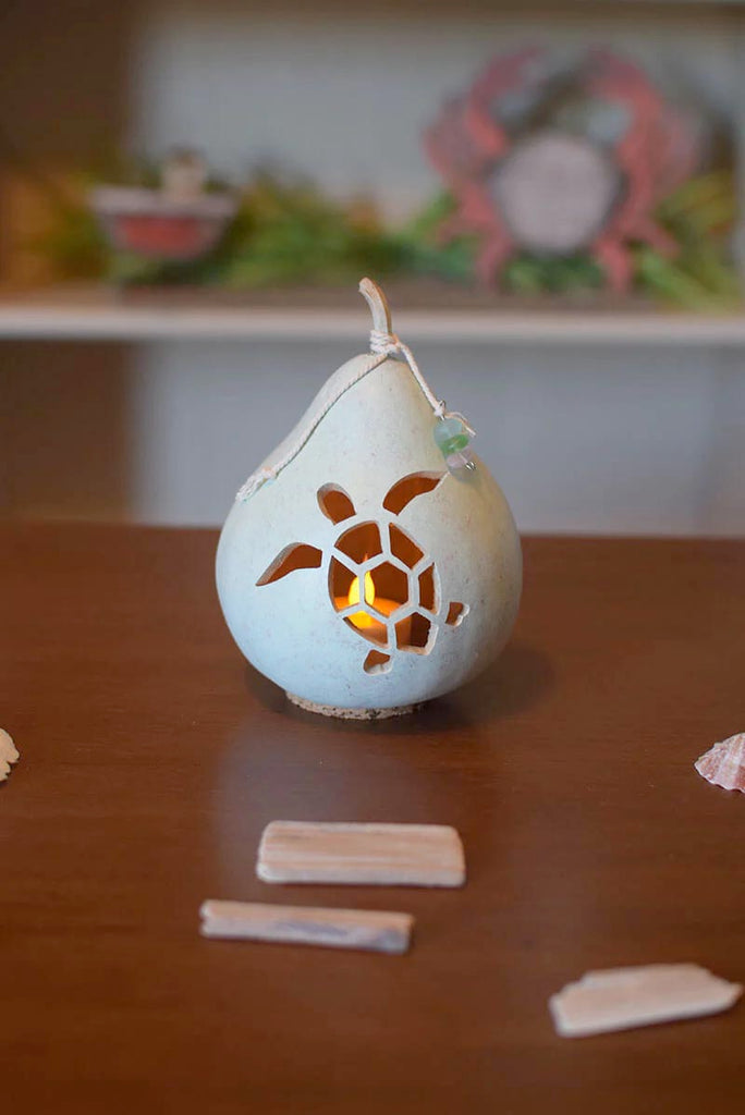 Turtle Gourd Miniature