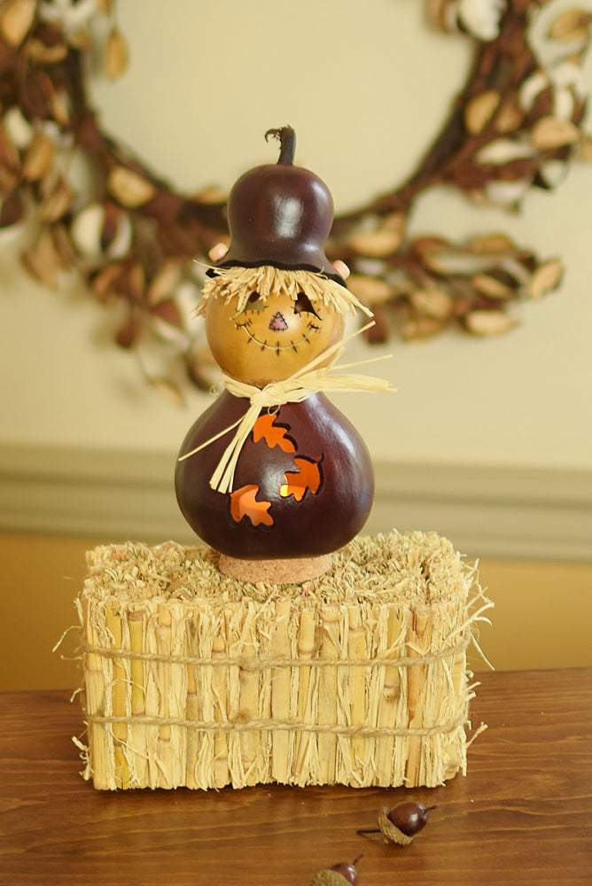 Fall Miniature Gourds