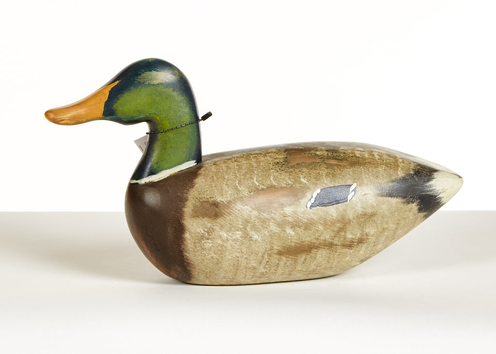 Mallard Drake by Chris Boone