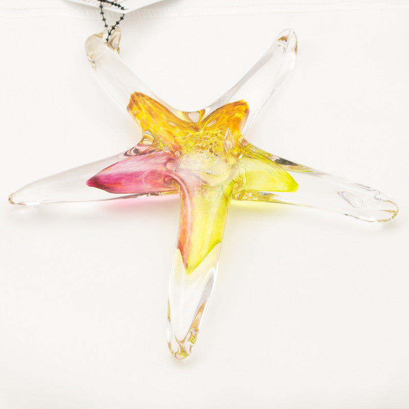 Small Starfish in Amber