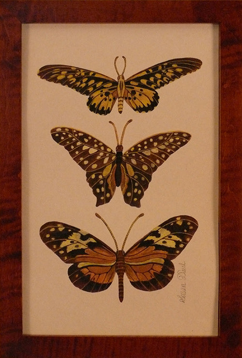 Three Yellow and Black Butterflies by Susan Daul