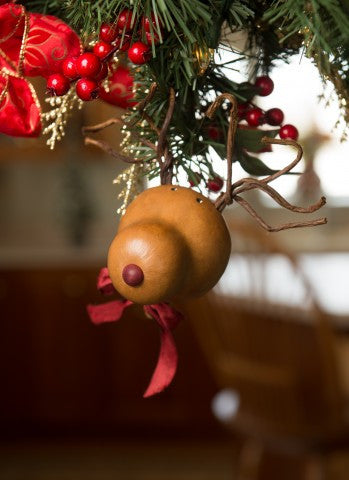 Dash the Reindeer Gourd