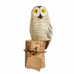 Hand Carved Owlets