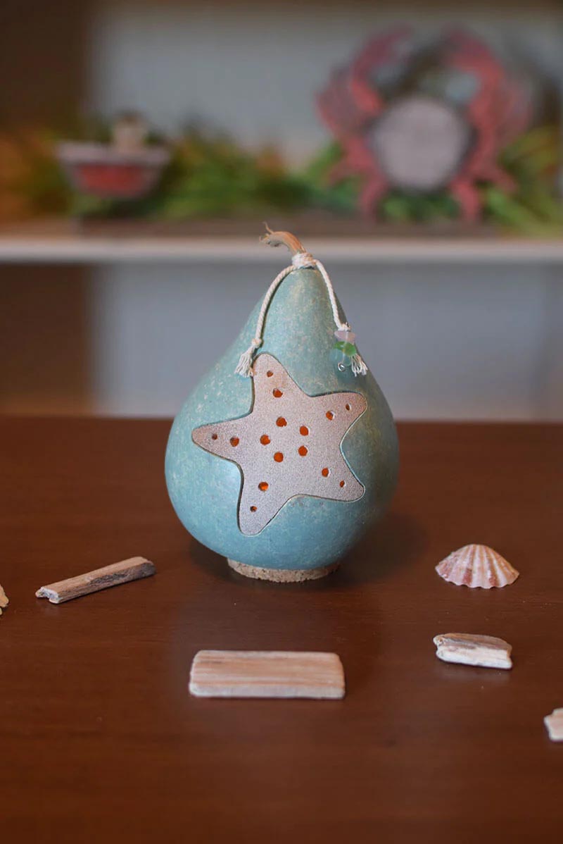 Starfish Gourd Miniature