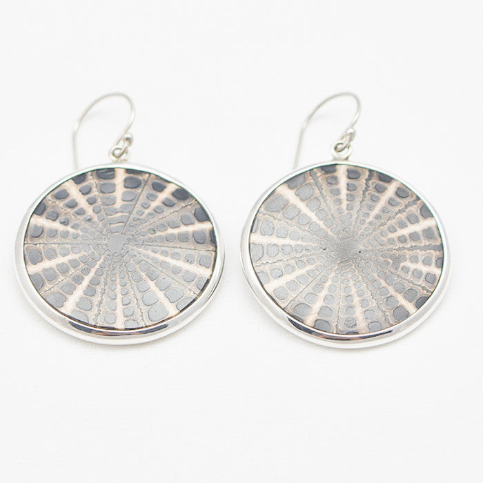 Sterling Silver Wrapped Round Shells Earrings
