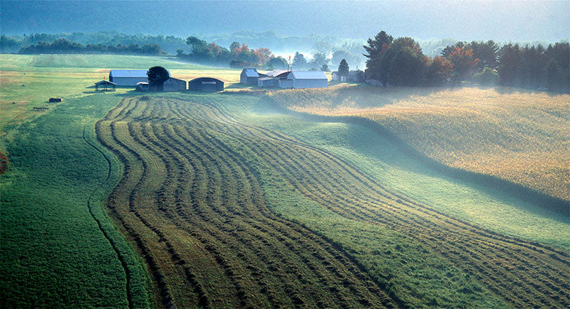 Rolling Hills Archival Photo on Canvas by Ted Scarpino