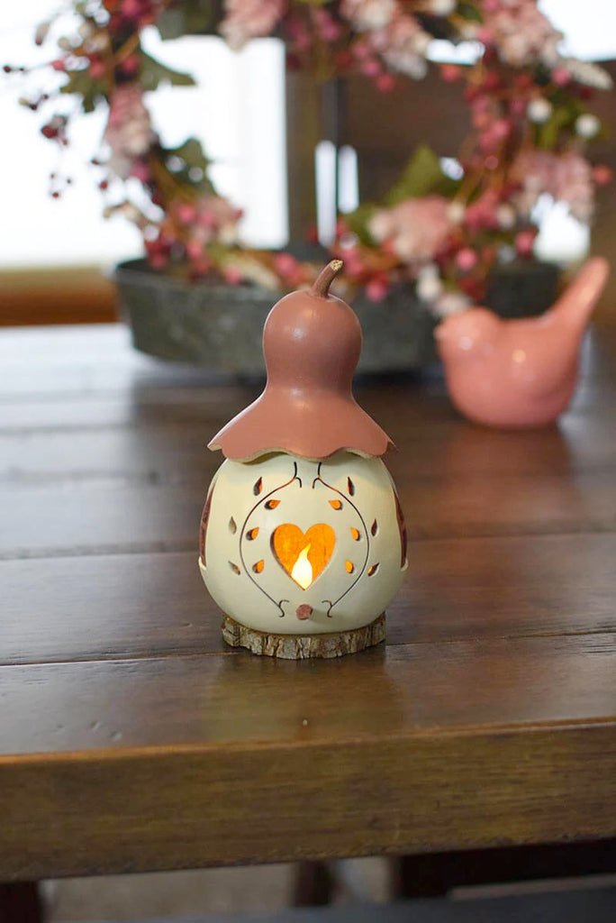 Gettysburg Pink Cottage Gourd Miniature