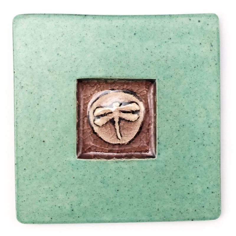 Dragonfly Coaster