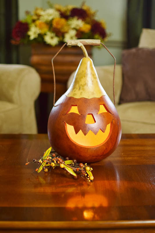 Cushing Gourd in Multiple Sizes