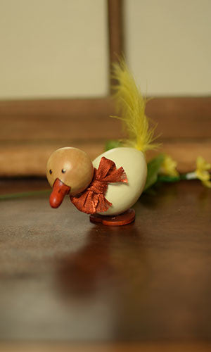 Daisy the Duck Gourd