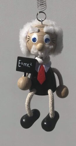 Einstein Handcrafted Wooden Jumpie