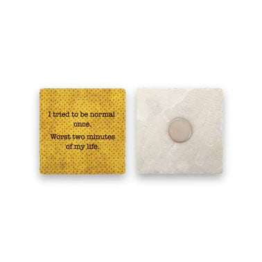 Normal Coaster and Magnet