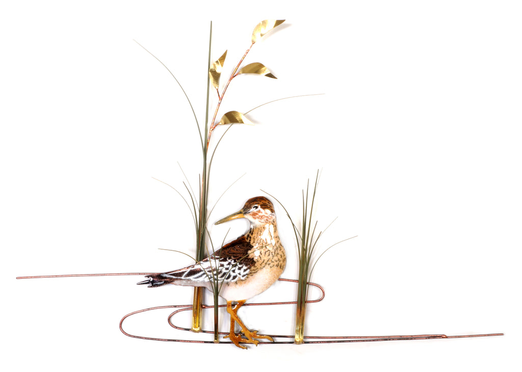 Sandpiper looking back with sea oats Wall Art by Bovano