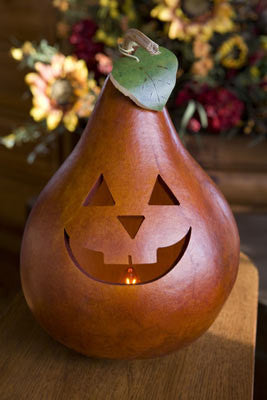 Traditional Jacks Gourd