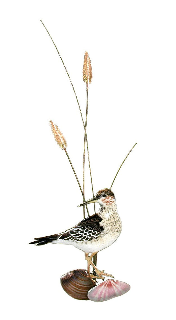 Sandpiper with Two Shells - Vertical Wall Art by Bovano