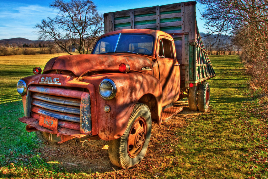 Out to Pasture 8x12 Metal Print