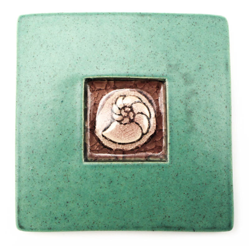 Nautilus Coaster