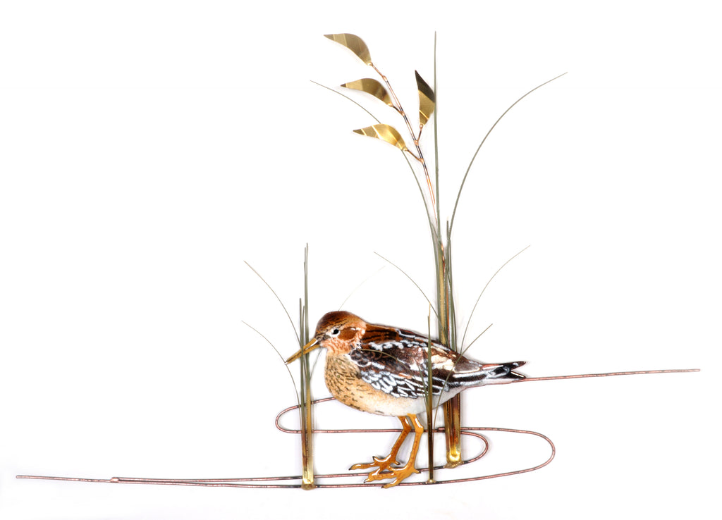 Sandpiper looking forward with sea oats Wall Art by Bovano