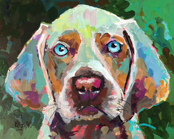 Weimaraner by Ron Krajewski