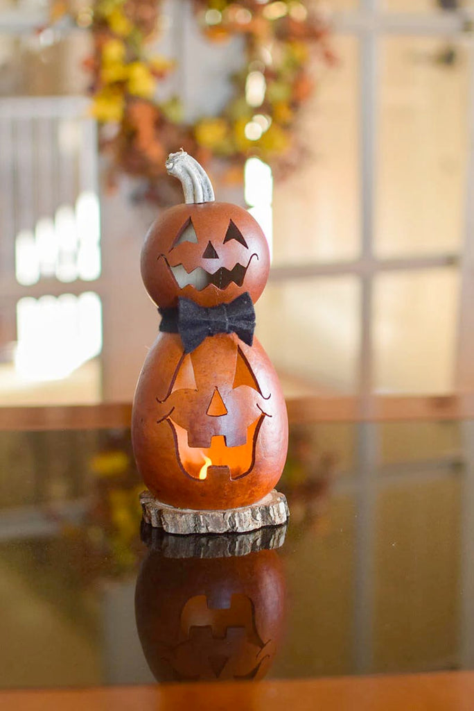 Fall Miniature Gourds